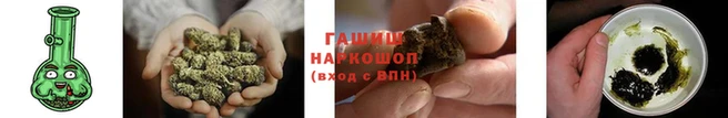 прущие грибы Богородицк