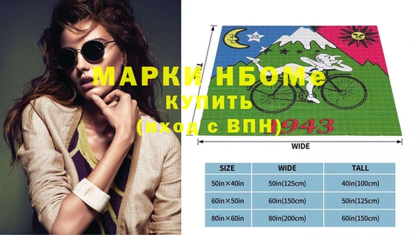 прущие крисы Бородино